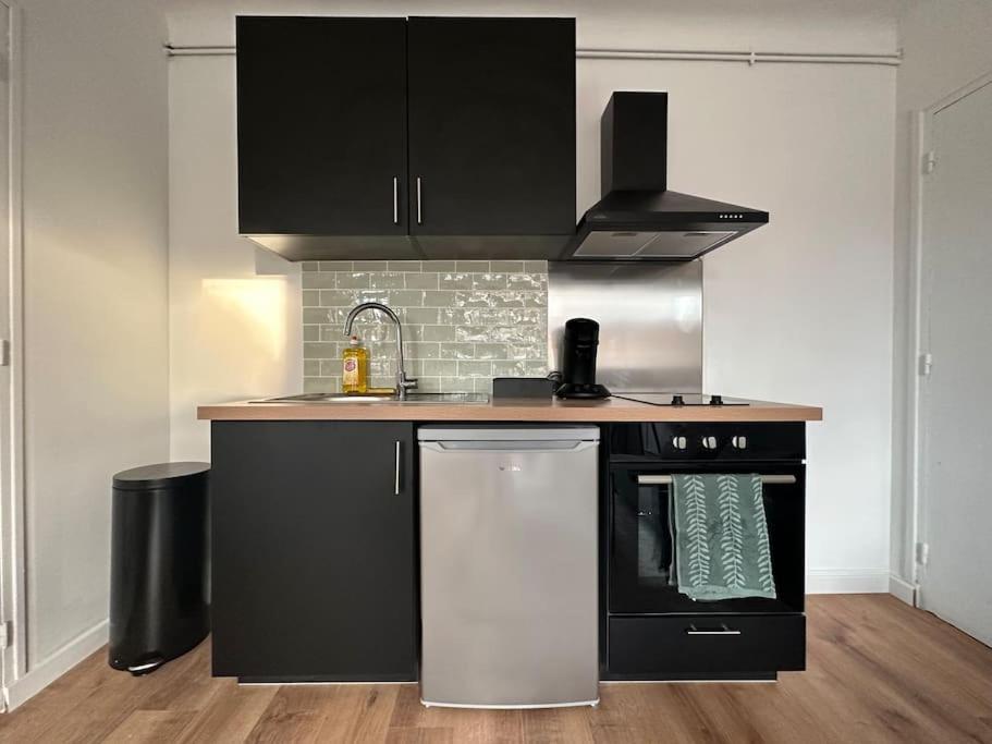 Appartement Proche Paris Et Metro - Parking Prive Maisons-Alfort Bagian luar foto