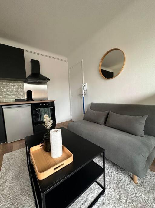 Appartement Proche Paris Et Metro - Parking Prive Maisons-Alfort Bagian luar foto